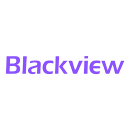 blackveiw logo