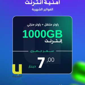 (امنية انترنت (اشتراك شهري - (1000GB)